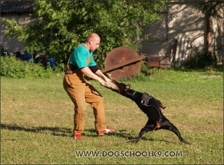 Pako Daker - training